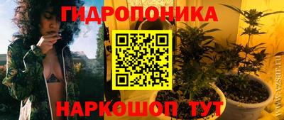 a pvp Абинск