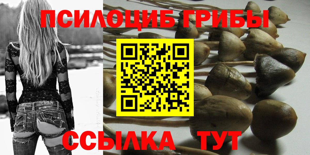Псилоцибиновые грибы Psilocybine cubensis Асбест